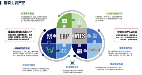 上海軟件開發 機遇、挑戰與未來展望