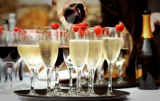 新世代“微醺”經濟 解碼酒水消費年輕化趨勢與營銷新玩法